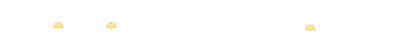 little lambs with bright lights logo